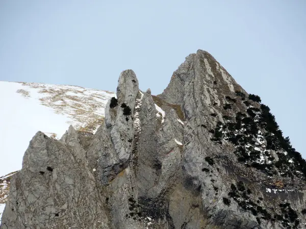 Pico Alpino Piedra Nevada Zehespitz 1958 Cordillera Alpstein Macizo Los — Foto de Stock