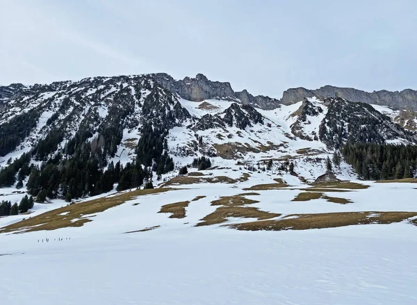 Pico Alpino Nevado Gulmen Gulme 1998 Cordillera Alpstein Macizo Los — Foto de Stock