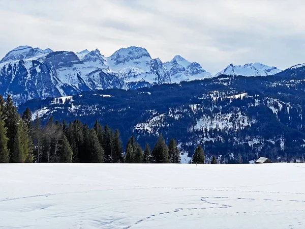 Cordilheira Montanhosa Grupo Alvier Maciço Dos Alpes Appenzell Acima Vale — Fotografia de Stock