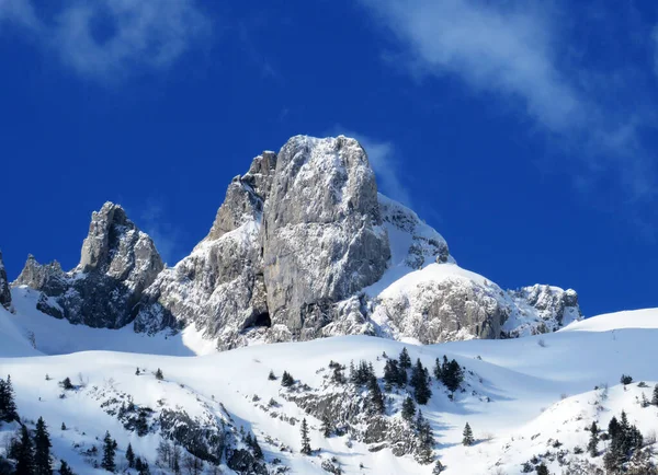 Snötäckta Högalpina Betesmarker Och Bergstoppar Alpsteinmassivet Vinterklädsel Appenzellalpsmassivet Unterwasser Kantonen — Stockfoto