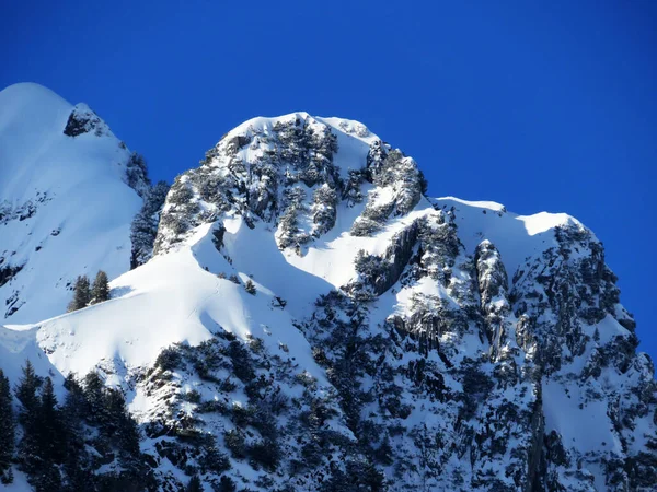 Sněhem Pokryté Vysokohorské Pastviny Skalnaté Vrcholky Masivu Alpstein Zimním Období — Stock fotografie