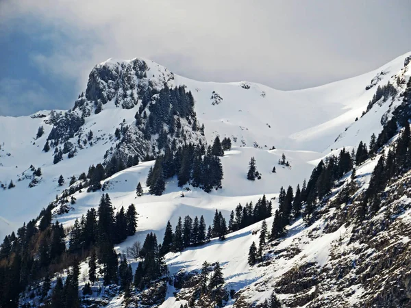 Snötäckta Högalpina Betesmarker Och Bergstoppar Alpsteinmassivet Vinterklädsel Appenzellalpsmassivet Unterwasser Kantonen Stockfoto