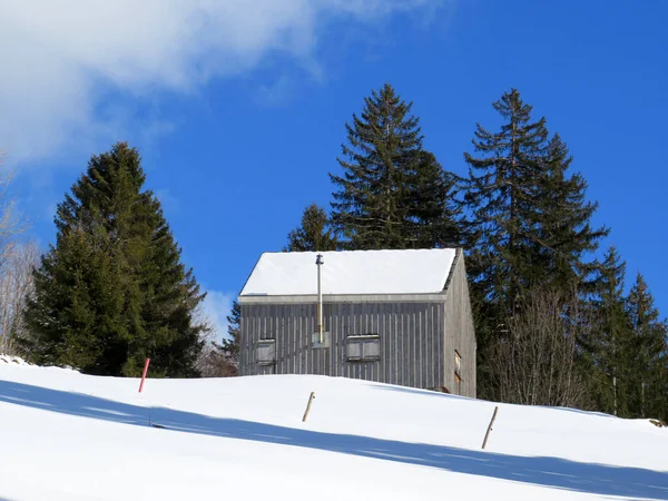 Cabañas Alpinas Indígenas Establos Madera Pastos Suizos Cubiertos Nieve Blanca — Foto de Stock