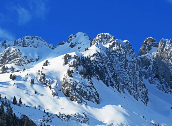 Met Sneeuw Bedekte Bergtop Schwarzchopf 1949 Alpstein Bergketen Appenzell Alpen — Stockfoto