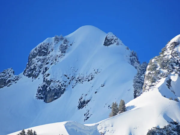 Sněhem Pokrytý Alpský Vrchol Schwarzchopf 1949 Pohoří Alpstein Masivu Appenzell — Stock fotografie