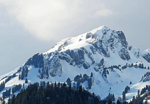 Met Sneeuw Bedekte Bergtop Lutispitz Luetispitz 1986 Alpstein Bergketen Appenzell — Stockfoto