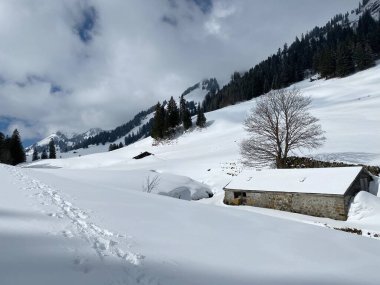 Yerli alp kulübeleri ve İsviçre çayırlarındaki ahşap ahırlar taze beyaz kar örtüsüyle kaplıdır, Unterwasser - Obertoggenburg, İsviçre (Schweiz)