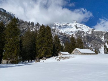 Yerli alp kulübeleri ve İsviçre çayırlarındaki ahşap ahırlar taze beyaz kar örtüsüyle kaplıdır, Unterwasser - Obertoggenburg, İsviçre (Schweiz)
