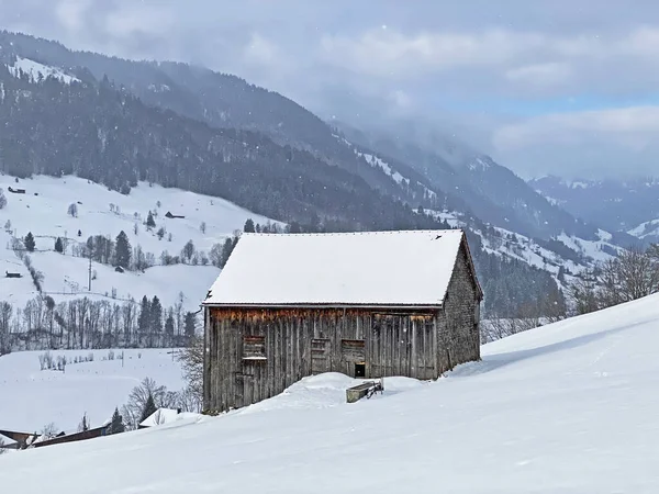 Cabañas Alpinas Indígenas Establos Madera Pastos Suizos Cubiertos Nieve Blanca —  Fotos de Stock