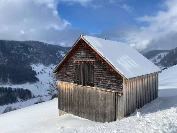 Indigenous Alpine Huts Wooden Cattle Stables Swiss Pastures Covered Fresh — Stock Photo, Image