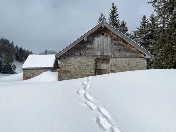 Indigenous Alpine Huts Wooden Cattle Stables Swiss Pastures Covered Fresh — Stock Photo, Image