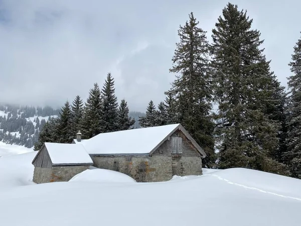 スイスの牧草地にある先住民族の高山の小屋と木製の牛小屋は 新鮮な白い雪のカバーで覆われています Unterwasser Obertoggenburg スイス スイス — ストック写真