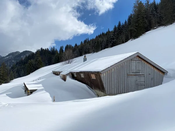 Cabañas Alpinas Indígenas Establos Madera Pastos Suizos Cubiertos Nieve Blanca — Foto de Stock