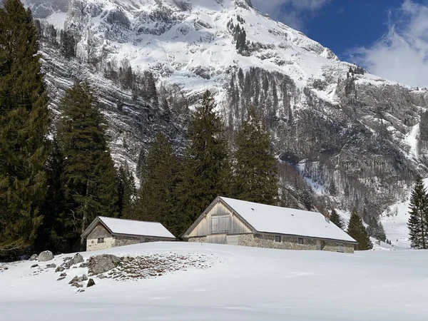 スイスの牧草地にある先住民族の高山の小屋と木製の牛小屋は 新鮮な白い雪のカバーで覆われています Unterwasser Obertoggenburg スイス スイス — ストック写真