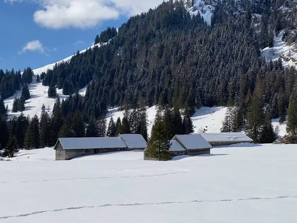 スイスの牧草地にある先住民族の高山の小屋と木製の牛小屋は 新鮮な白い雪のカバーで覆われています Unterwasser Obertoggenburg スイス スイス — ストック写真