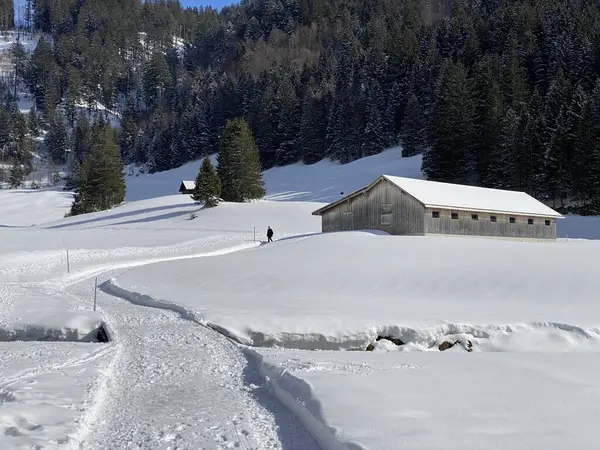 Cabañas Alpinas Indígenas Establos Madera Pastos Suizos Cubiertos Nieve Blanca — Foto de Stock