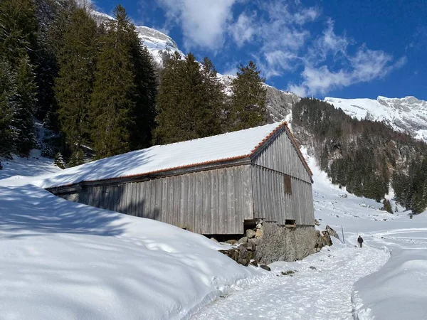 Heimische Almhütten Und Hölzerne Rinderställe Auf Schneebedeckten Schweizer Weiden Unterwasser — Stockfoto