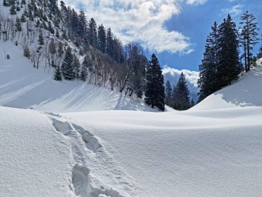 Alpstein dağlarının yamaçlarında ve İsviçre Alpleri 'nin taze dağlık kar örtüsünde muhteşem kış yürüyüş yolları ve izler var.)