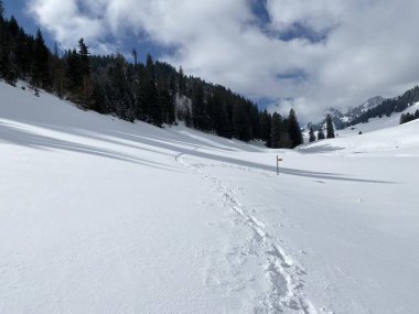 Alpstein dağlarının yamaçlarında ve İsviçre Alpleri 'nin taze dağlık kar örtüsünde muhteşem kış yürüyüş yolları ve izler var.)