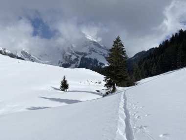 Alpstein dağlarının yamaçlarında ve İsviçre Alpleri 'nin taze dağlık kar örtüsünde muhteşem kış yürüyüş yolları ve izler var.)