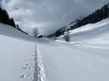 Alpstein dağlarının yamaçlarında ve İsviçre Alpleri 'nin taze dağlık kar örtüsünde muhteşem kış yürüyüş yolları ve izler var.)
