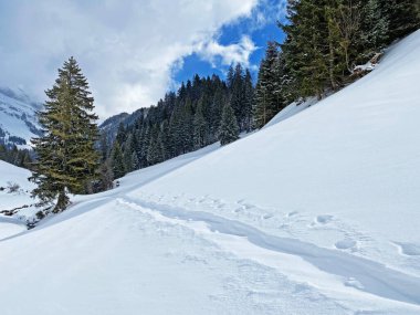 Alpstein dağlarının yamaçlarında ve İsviçre Alpleri 'nin taze dağlık kar örtüsünde muhteşem kış yürüyüş yolları ve izler var.)