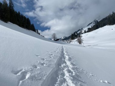 Alpstein dağlarının yamaçlarında ve İsviçre Alpleri 'nin taze dağlık kar örtüsünde muhteşem kış yürüyüş yolları ve izler var.)