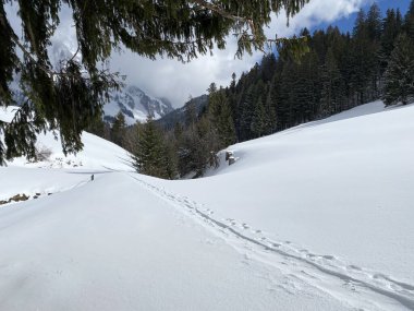 Alpstein dağlarının yamaçlarında ve İsviçre Alpleri 'nin taze dağlık kar örtüsünde muhteşem kış yürüyüş yolları ve izler var.)