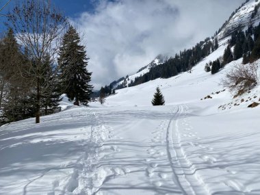 Alpstein dağlarının yamaçlarında ve İsviçre Alpleri 'nin taze dağlık kar örtüsünde muhteşem kış yürüyüş yolları ve izler var.)