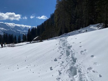 Alpstein dağlarının yamaçlarında ve İsviçre Alpleri 'nin taze dağlık kar örtüsünde muhteşem kış yürüyüş yolları ve izler var.)