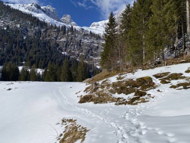 Alpstein dağlarının yamaçlarında ve İsviçre Alpleri 'nin taze dağlık kar örtüsünde muhteşem kış yürüyüş yolları ve izler var.)