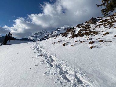 Alpstein dağlarının yamaçlarında ve İsviçre Alpleri 'nin taze dağlık kar örtüsünde muhteşem kış yürüyüş yolları ve izler var.)