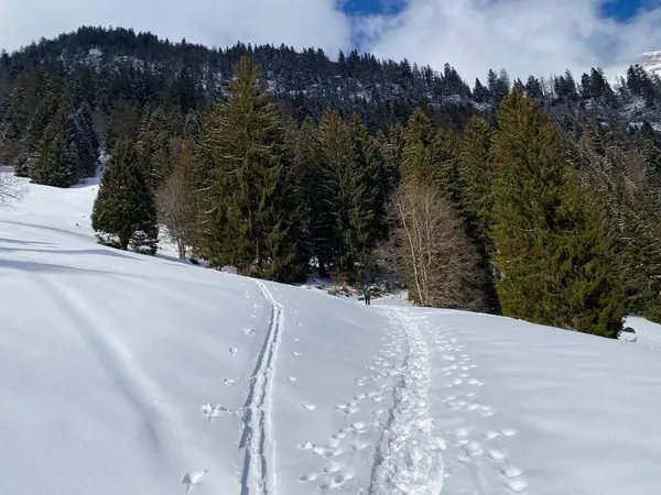 Magnifiques Sentiers Randonnée Hivernale Traces Sur Les Pentes Chaîne Montagnes — Photo