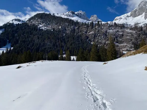 Прекрасные Зимние Пешеходные Тропы Следы Склонах Альпштейнского Хребта Свежем Альпийском — стоковое фото