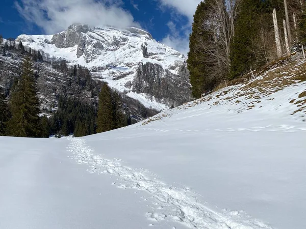 Чудові Зимові Походи Сліди Схилах Альпштейнського Гірського Пасма Свіжому Сніговому — стокове фото