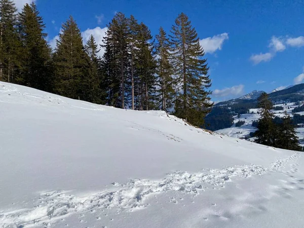 素晴らしい冬のハイキングコースとアルプシュタイン山脈の斜面とスイスアルプスの新鮮な高山雪のカバー Unterwasser Switzerland スイス — ストック写真