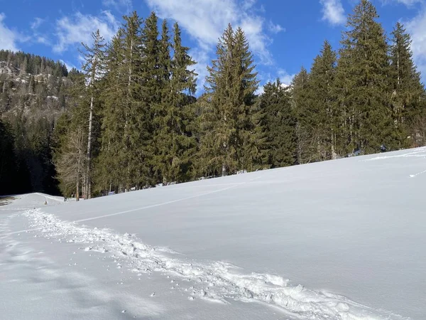 Wonderful Winter Hiking Trails Traces Slopes Alpstein Mountain Range Fresh — Stock Photo, Image