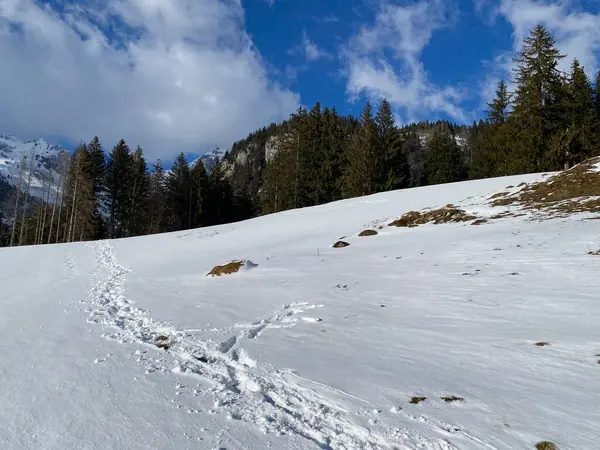 놀라운 슈타인 그리고 스위스 알프스산맥의 지대에 눈덮인 스위스의 바이츠 에서의 — 스톡 사진