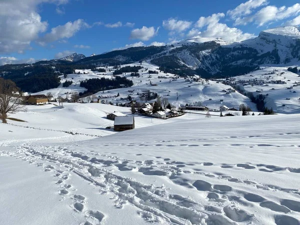 Meravigliosi Sentieri Escursionistici Invernali Tracce Sulle Pendici Della Catena Montuosa — Foto Stock