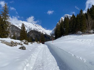 Obertoggenburg vadisinde ve Alpstein dağ sırasının yamaçlarında (Unterwasser, İsviçre) kırsal alp yolu boyunca uzanan kar yağışı)