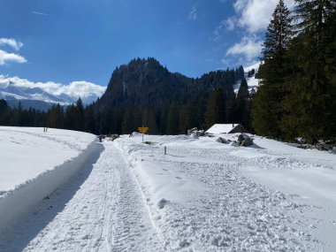 Obertoggenburg vadisinde ve Alpstein dağ sırasının yamaçlarında (Unterwasser, İsviçre) kırsal alp yolu boyunca uzanan kar yağışı)