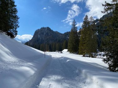 Obertoggenburg vadisinde ve Alpstein dağ sırasının yamaçlarında (Unterwasser, İsviçre) kırsal alp yolu boyunca uzanan kar yağışı)
