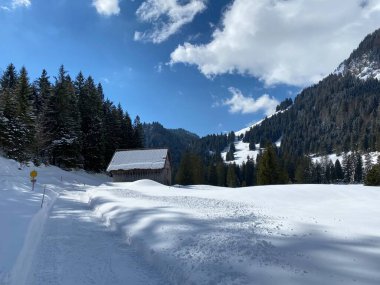 Obertoggenburg vadisinde ve Alpstein dağ sırasının yamaçlarında (Unterwasser, İsviçre) kırsal alp yolu boyunca uzanan kar yağışı)