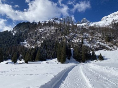 Obertoggenburg vadisinde ve Alpstein dağ sırasının yamaçlarında (Unterwasser, İsviçre) kırsal alp yolu boyunca uzanan kar yağışı)