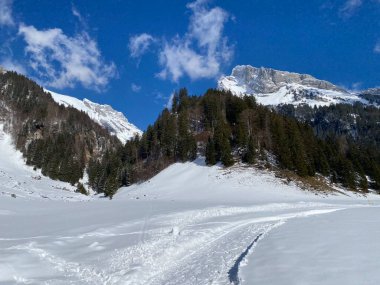 Obertoggenburg vadisinde ve Alpstein dağ sırasının yamaçlarında (Unterwasser, İsviçre) kırsal alp yolu boyunca uzanan kar yağışı)