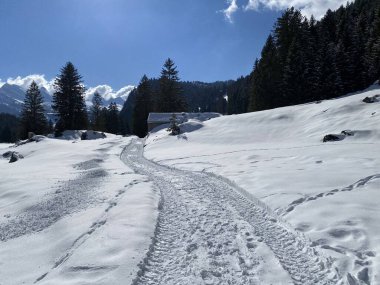 Obertoggenburg vadisinde ve Alpstein dağ sırasının yamaçlarında (Unterwasser, İsviçre) kırsal alp yolu boyunca uzanan kar yağışı)