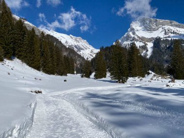 Obertoggenburg vadisinde ve Alpstein dağ sırasının yamaçlarında (Unterwasser, İsviçre) kırsal alp yolu boyunca uzanan kar yağışı)