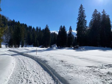 Obertoggenburg vadisinde ve Alpstein dağ sırasının yamaçlarında (Unterwasser, İsviçre) kırsal alp yolu boyunca uzanan kar yağışı)