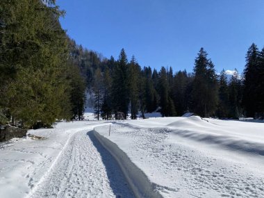 Obertoggenburg vadisinde ve Alpstein dağ sırasının yamaçlarında (Unterwasser, İsviçre) kırsal alp yolu boyunca uzanan kar yağışı)