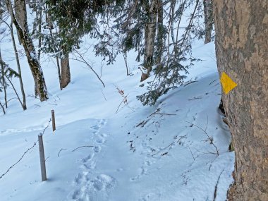 Alpstein dağ kütlesi ve İsviçre Alplerinde - Unterwasser, İsviçre (Schweiz)